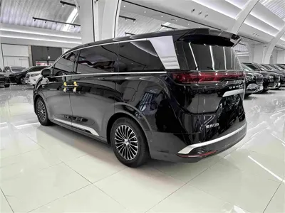 Denza Denza D9