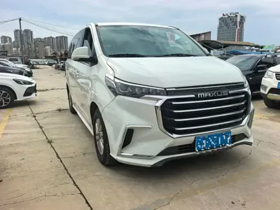 大通 G20