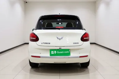 Wuling Bingo