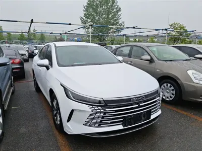 BYD Destroyer 05