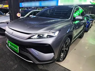 BYD Pro New Energy