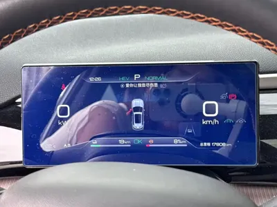 BYD Pro New Energy