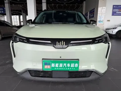 WM Motor W6