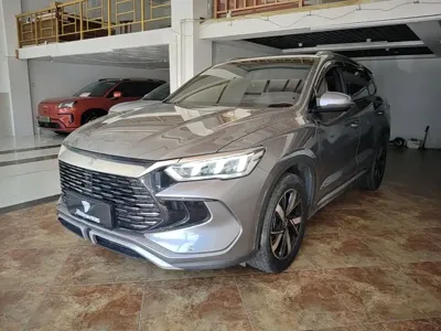 BYD Pro New Energy