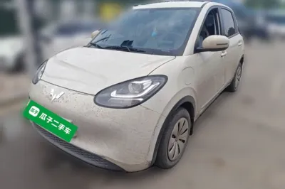 Wuling Bingo