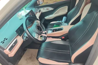 BYD Seagull