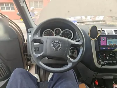 Foton Maverick E