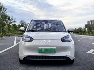 Wuling Bingo
