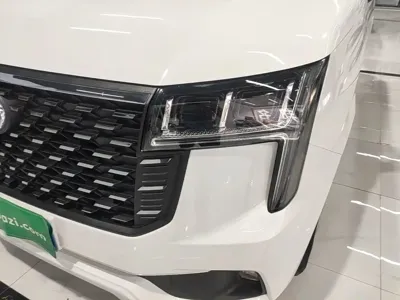 Maxus V80
