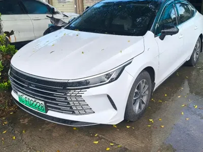 BYD Destroyer 05