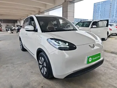 Wuling Bingo