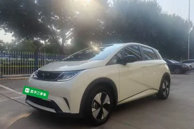 BYD Dolphin