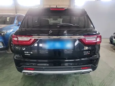 Hongqi Hongqi HS7