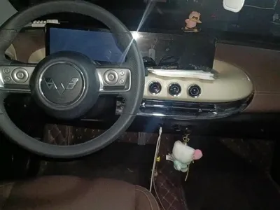 Wuling Bingo