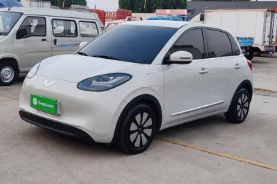 Wuling Bingo