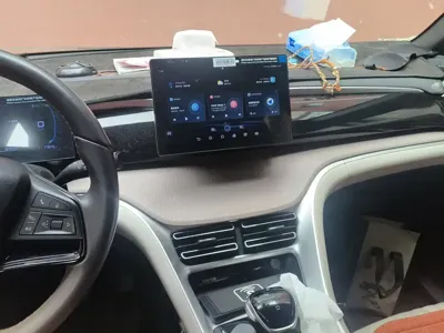 BYD Pro New Energy