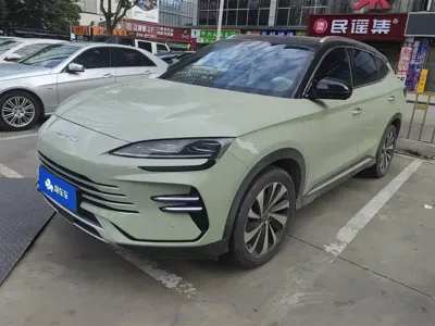 BYD PLUS New Energy