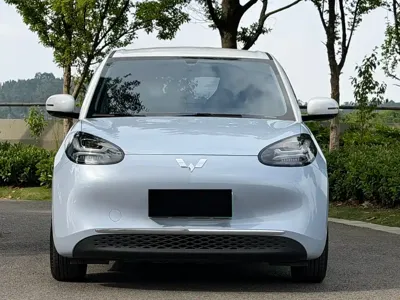 Wuling Bingo