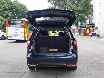 BYD MAX New Energy