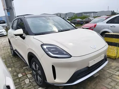 Wuling 缤果S