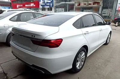 Geely Auto Binray