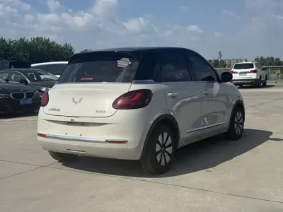 Wuling Bingo
