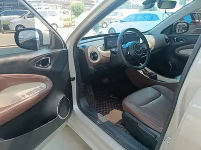 Wuling Bingo