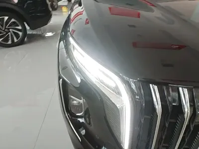 Hongqi Hongqi HS7 PHEV
