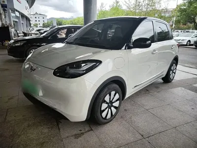 Wuling Bingo