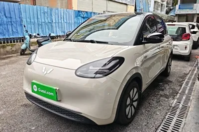 Wuling Bingo