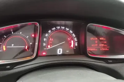 DS 4S