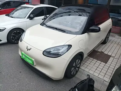 Wuling Bingo