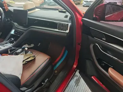 BYD PLUS