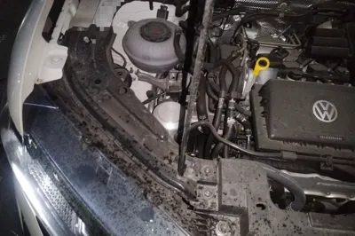 Jetta VS5