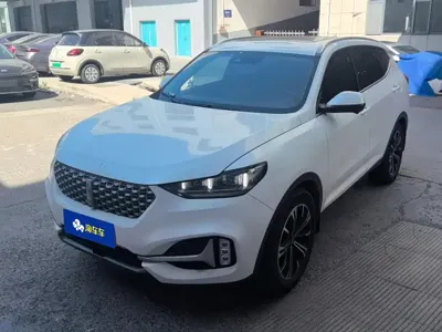 WEY Wey VV6