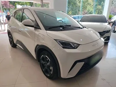 BYD Seagull
