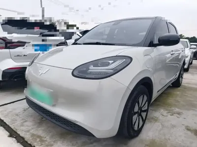 Wuling Bingo