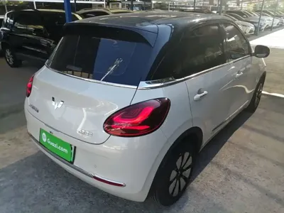Wuling Bingo