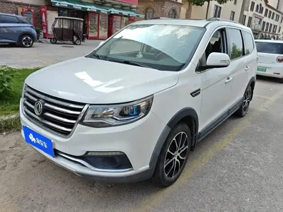 Fengxing Fengxing SX6