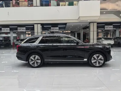 Hongqi Hongqi E-HS9