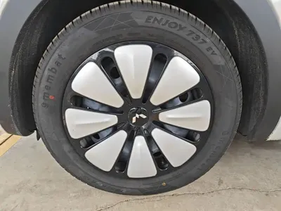 Wuling Bingo
