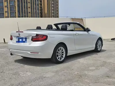 BMW 2 Series (Import)