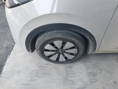 Wuling Bingo