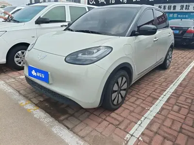 Wuling Bingo