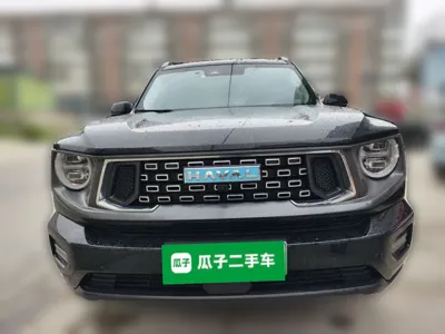 Haval H Dog New Energy