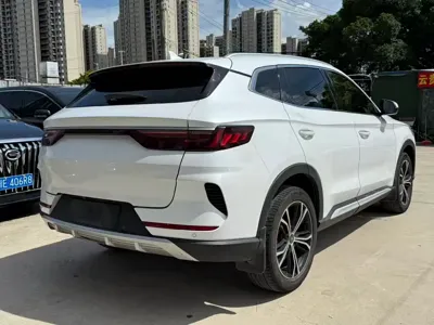 BYD PLUS