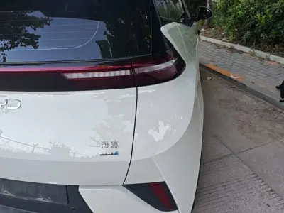 BYD Seagull
