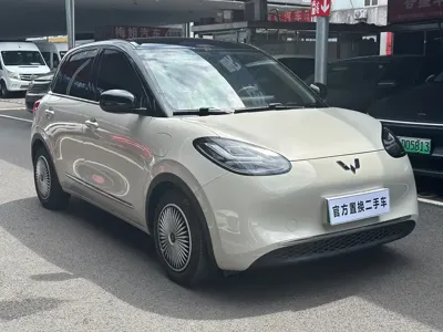 Wuling Bingo