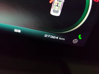 ORA Ballet Cat
