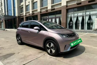 BYD Dolphin